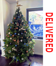 Load image into Gallery viewer, 6-7ft STANDARD TREE INCLUDING DELIVERY